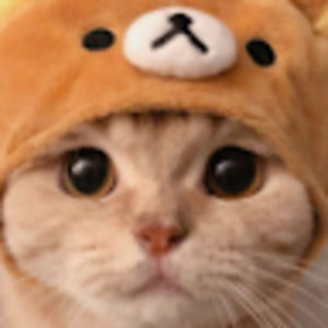 Meet your Posher, Tami